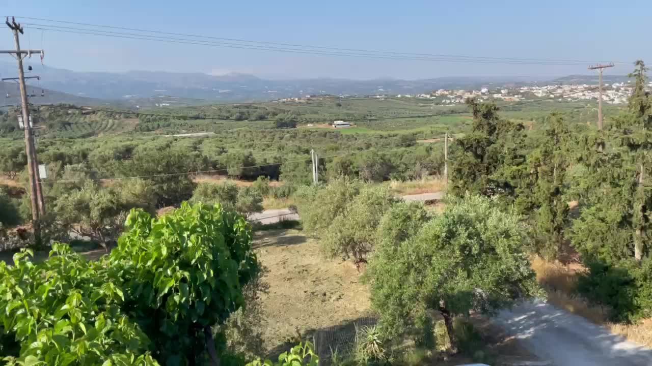 Olive groves viewed from a completed villa in Skepasti